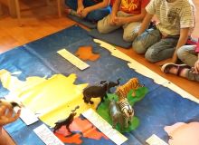 montessori_kisallatos_tabor_09.jpg