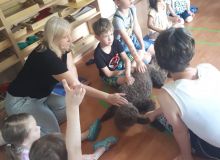 kutyas_kisallatos_tabor_11.jpg